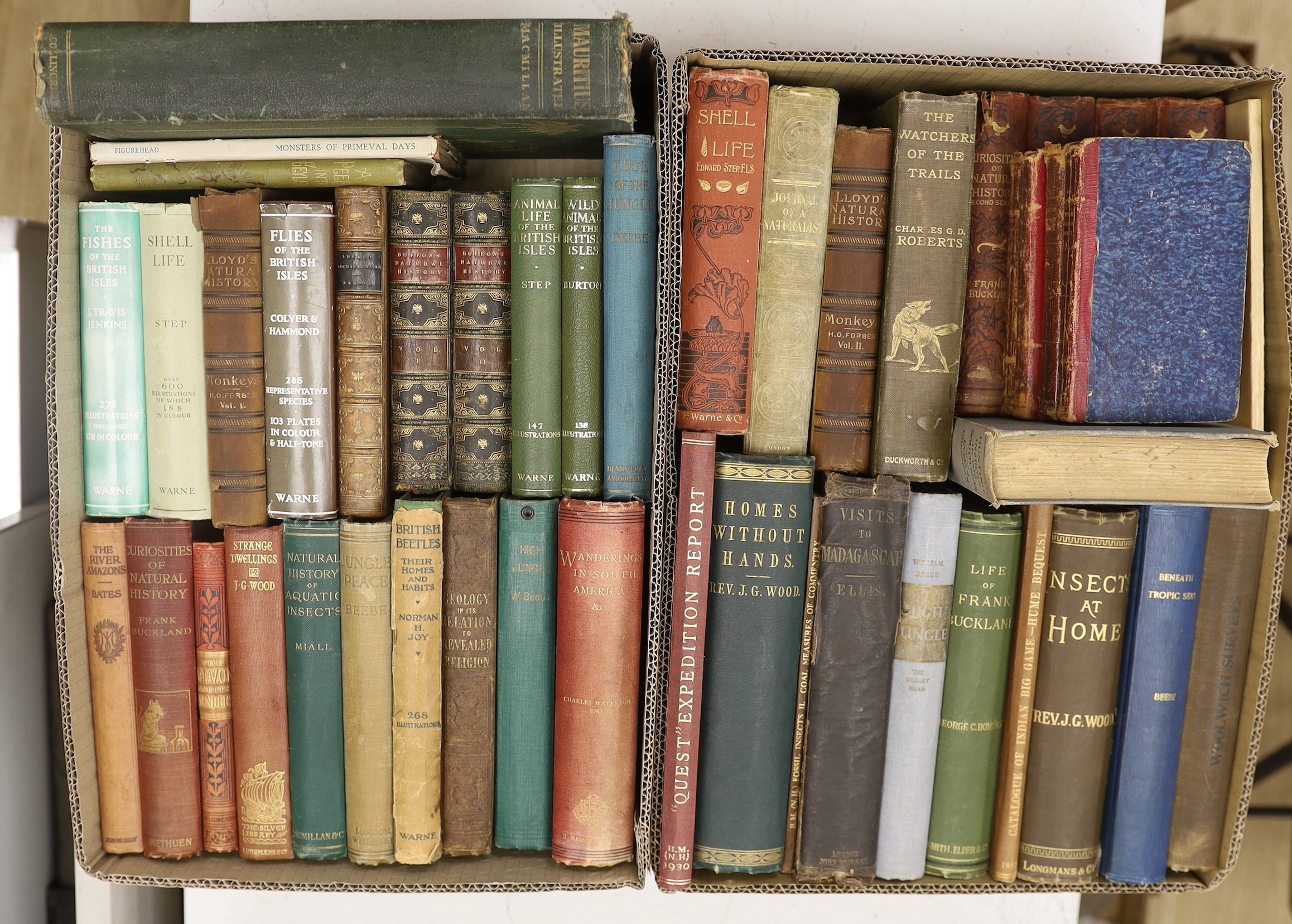 Ellis, Rev. William - Three Visits to Madagascar ... including a journey to the capital ... 15 plates (1 folded) and a map, text engravings; original blind-ruled gilt pictorial cloth. 1858; Hack, Maria - Winter Evenings;